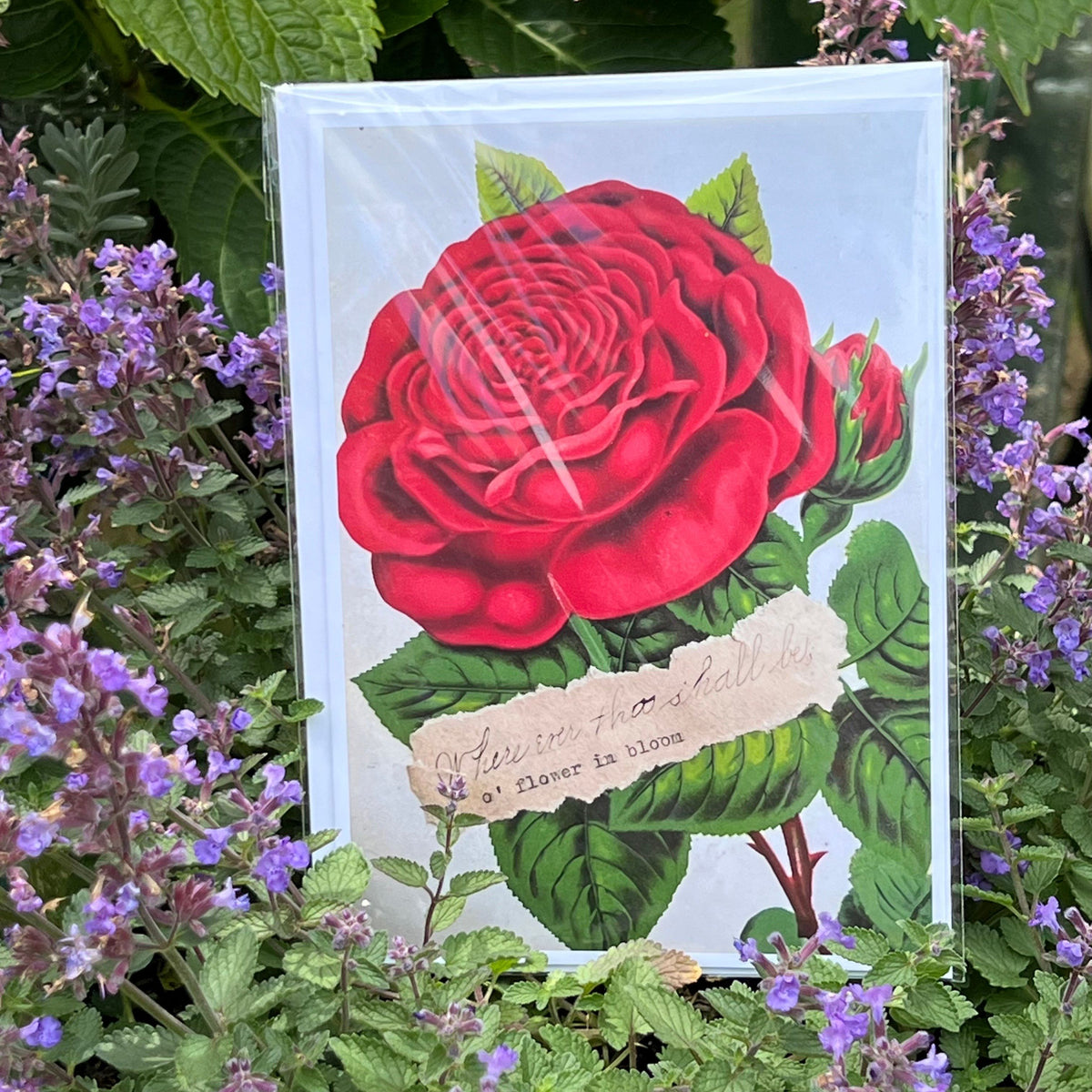 “We are the Flower” Greeting Card - “O' Flower in Bloom” - Antique Scrapbook